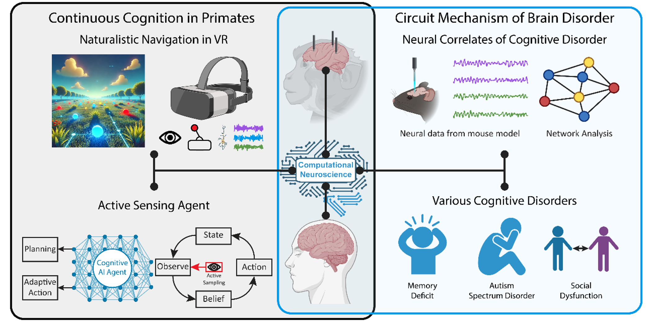 Naturalistic navigation & gaze analysis
